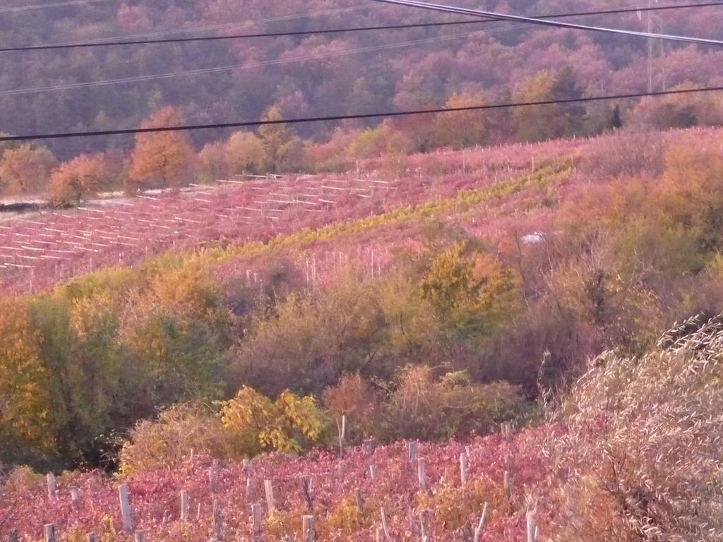 Rozina Vacation House Pliskovica Εξωτερικό φωτογραφία