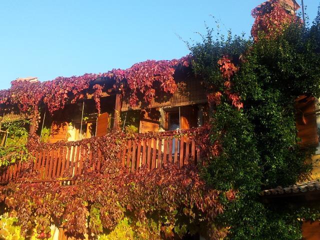 Rozina Vacation House Pliskovica Εξωτερικό φωτογραφία