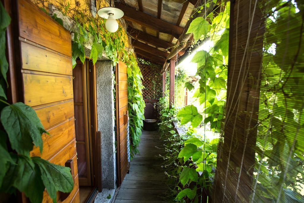 Rozina Vacation House Pliskovica Εξωτερικό φωτογραφία